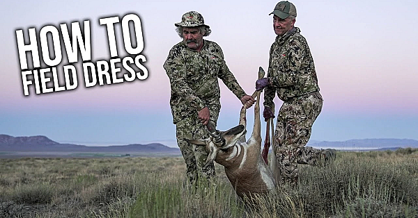 How To Field Dress A Pronghorn With Randy Newberg