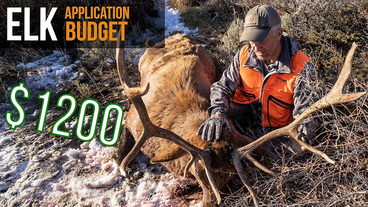 How You Can Hunt Elk On A Budget!