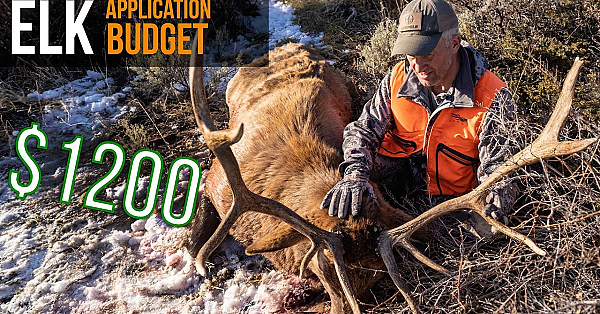 How You Can Hunt Elk On A Budget!