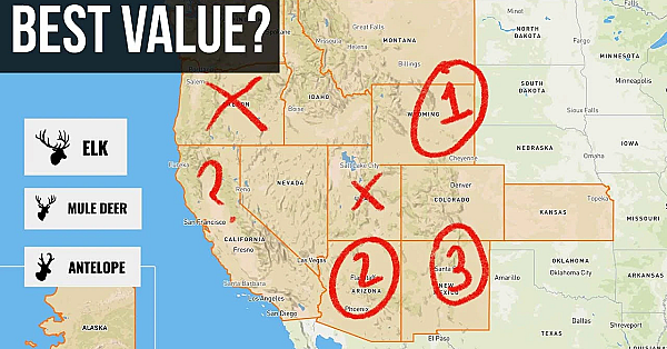 Best Value States For Elk, Deer &amp; Pronghorn