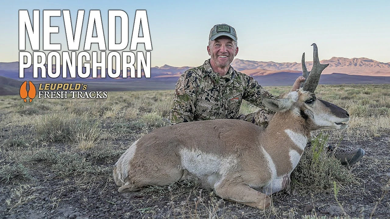 An Eye-opening Pronghorn Hunt! #freshtracks