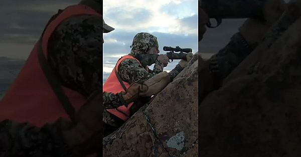 When You Harvest The Wrong Elk #shorts