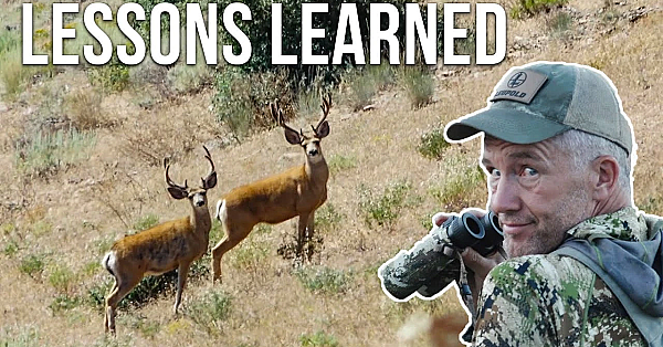 Lessons Learned: Nevada Archery Mule Deer (what I Did Wrong)