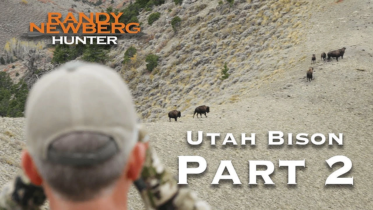 2018 Utah Archery Bison With Randy Newberg (part 2)