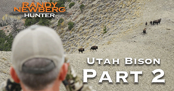 2018 Utah Archery Bison With Randy Newberg (part 2)