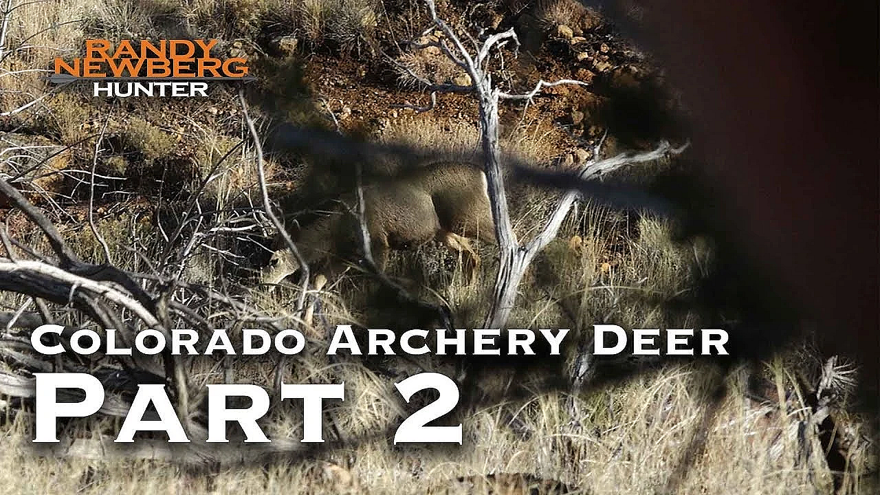 2018 Colorado Archery Deer With Randy Newberg (part 2)