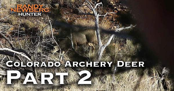 2018 Colorado Archery Deer With Randy Newberg (part 2)