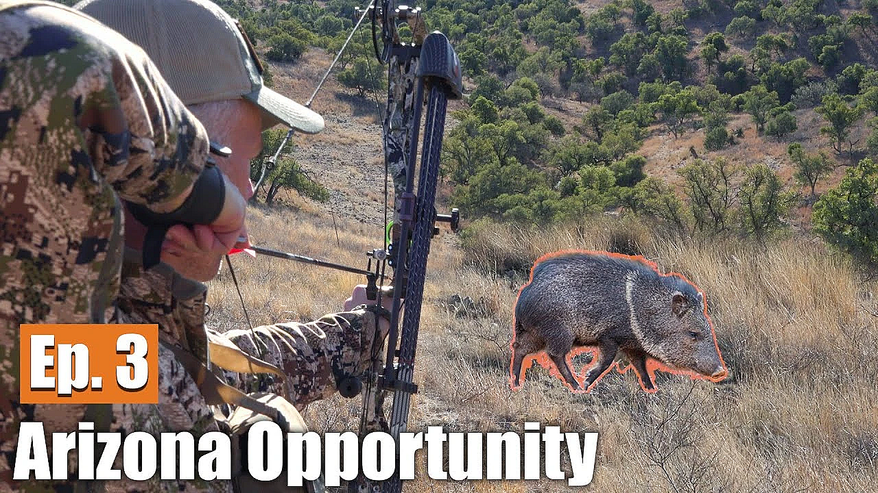 Hunting Javelina With A Bow: Arizona Opportunity Hunt (ep. 3)