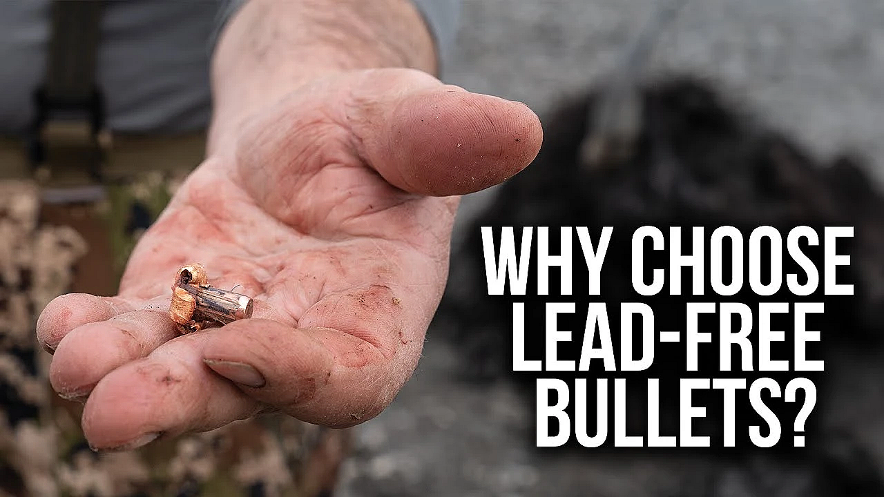 Lead Free Bullets For Hunting - Bulls, Bullets And Ballistics With Nosler