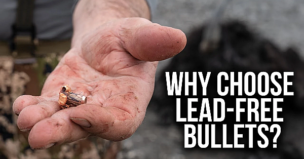 Lead Free Bullets For Hunting - Bulls, Bullets And Ballistics With Nosler
