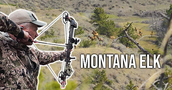 Words Of Wisdom (montana Archery Elk Hunt) - Fresh Tracks Season 10!