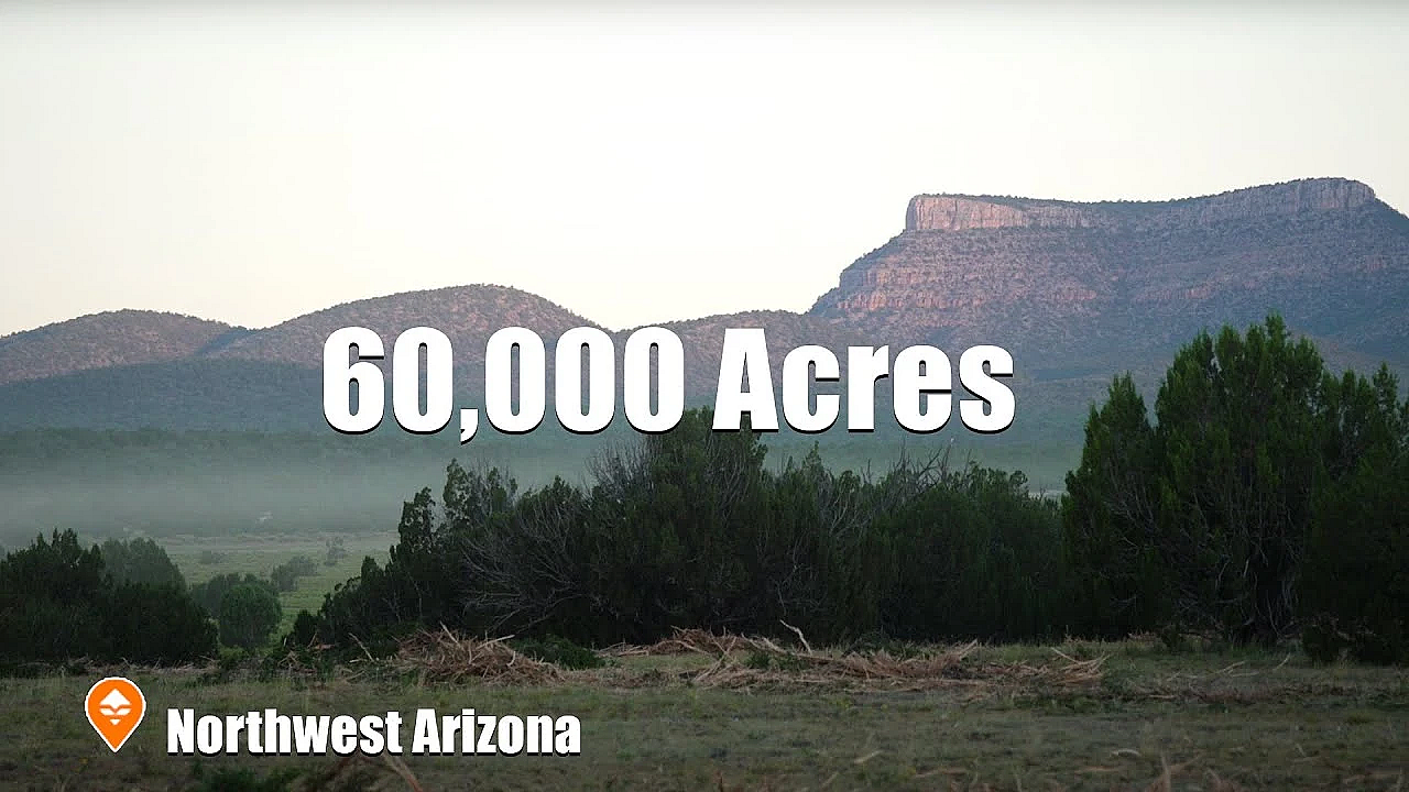 Restoring Wildlife Habitat In Arizona For Elk, Mule Deer And Pronghorn.