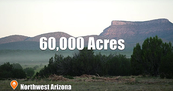 Restoring Wildlife Habitat In Arizona For Elk, Mule Deer And Pronghorn.