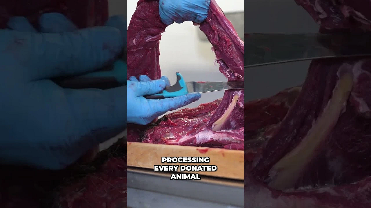 The Easiest Way To Give Back This Application Season