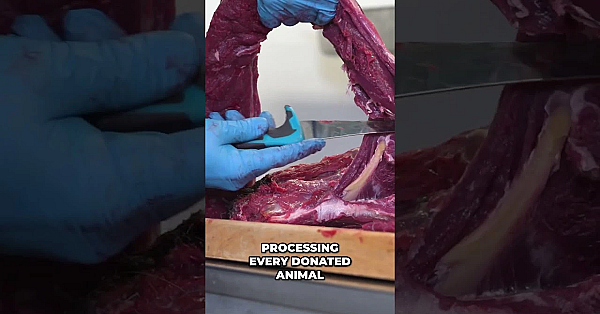 The Easiest Way To Give Back This Application Season