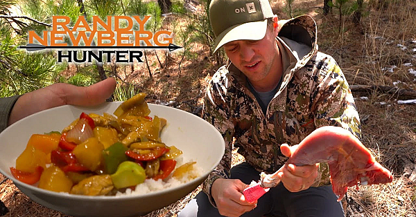 Skinning A Wild Turkey And Cooking Options (how To)