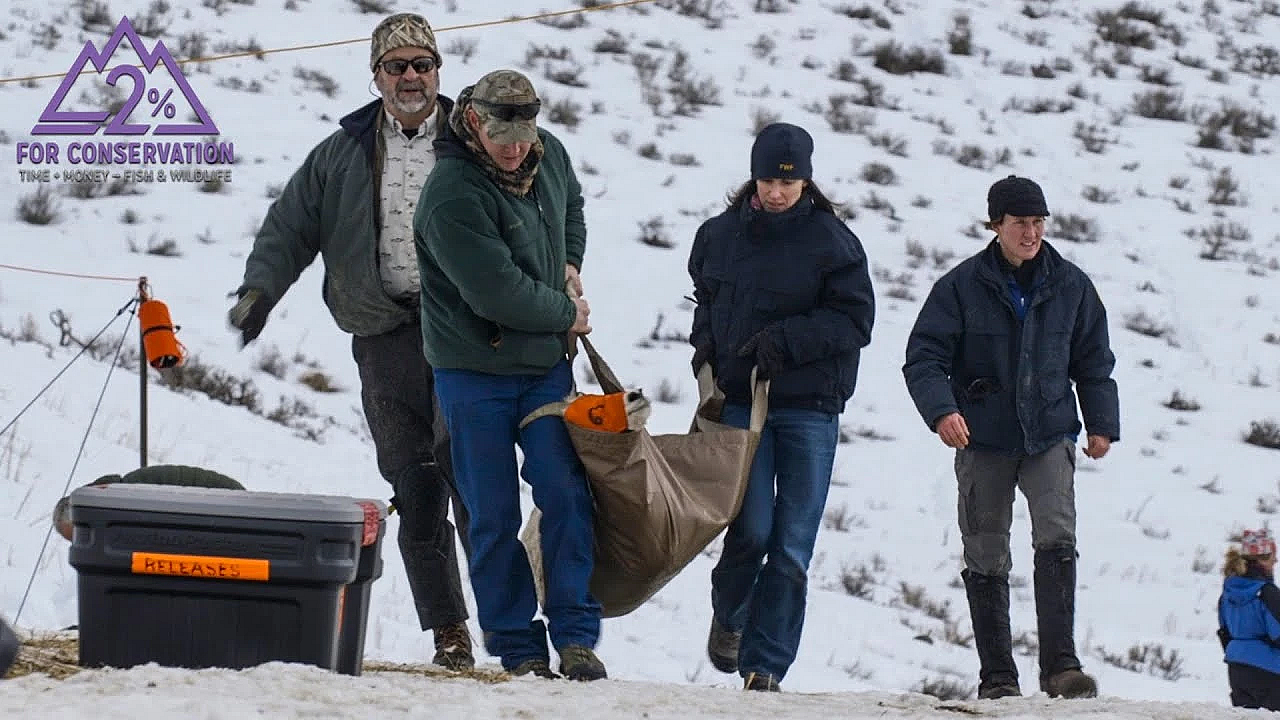 How To Get Involved In Conservation