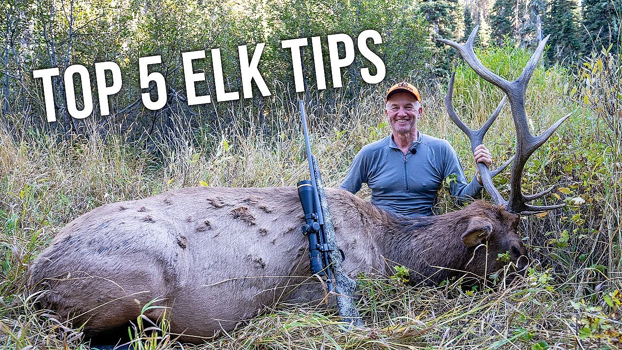Randy’s 5 Biggest Tips For Rifle Elk Hunting Success