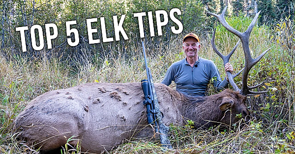 Randy’s 5 Biggest Tips For Rifle Elk Hunting Success