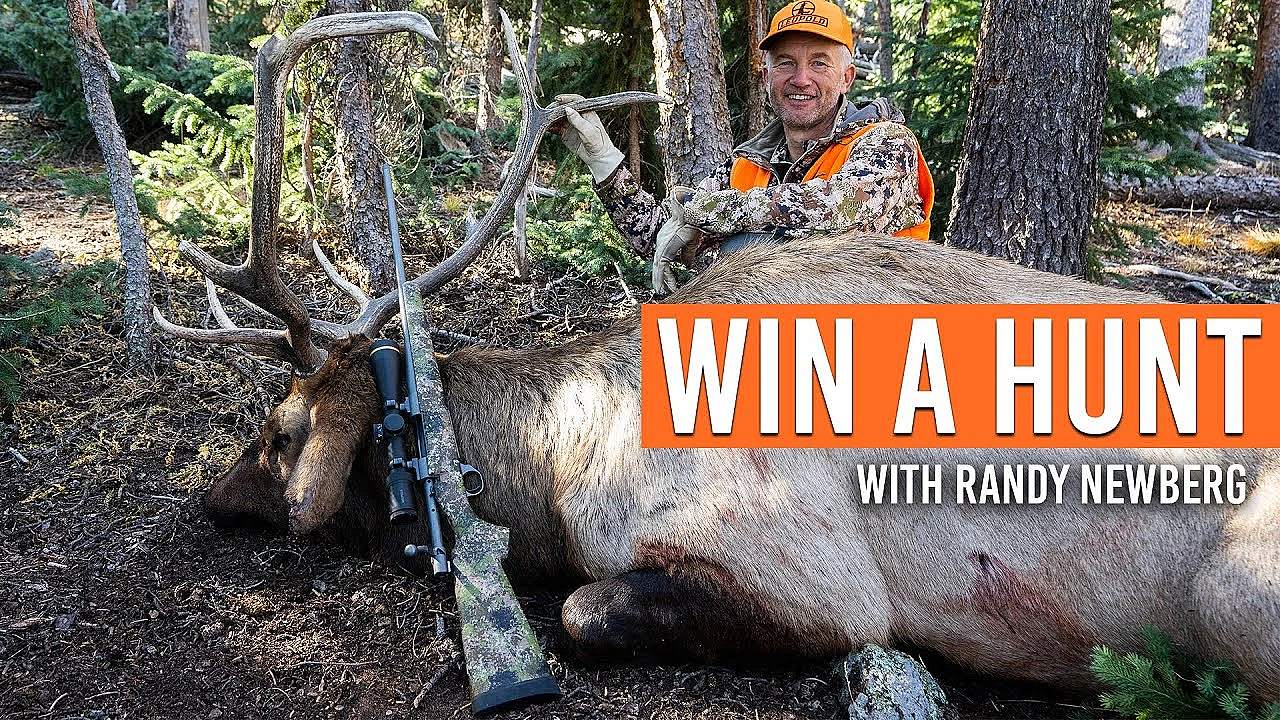 Come Elk Hunting With Me Next Year!