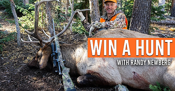 Come Elk Hunting With Me Next Year!