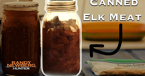 Cooking With Canned Elk Meat: Wild Game Spaghetti Recipe