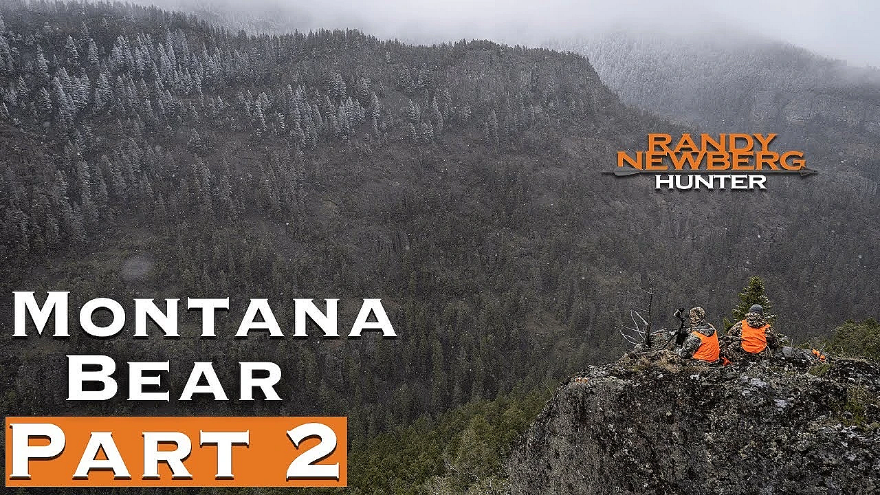 2019 Montana Spring Bear Season (part 2)