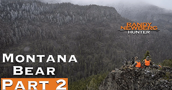 2019 Montana Spring Bear Season (part 2)