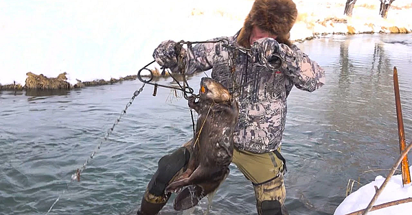 How To Use A Body Grip While Trapping