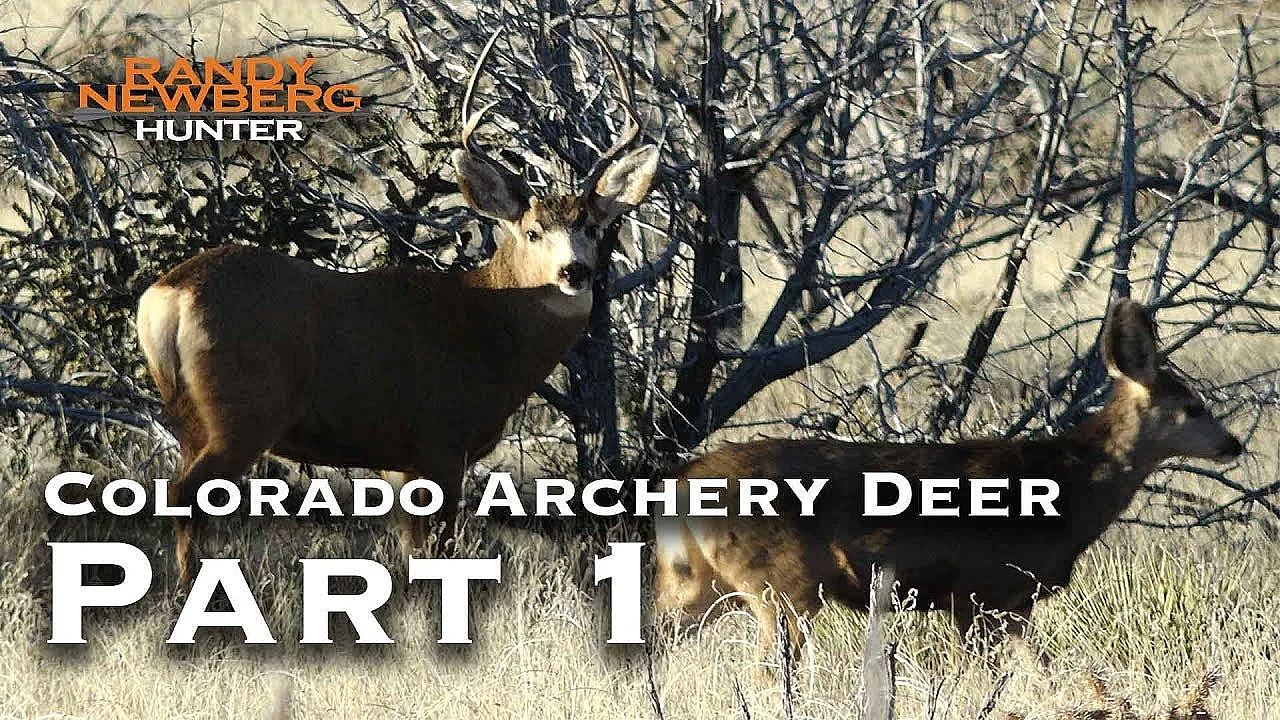 2018 Colorado Archery Deer With Randy Newberg (part 1)