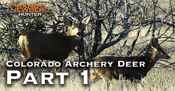 2018 Colorado Archery Deer With Randy Newberg (part 1)