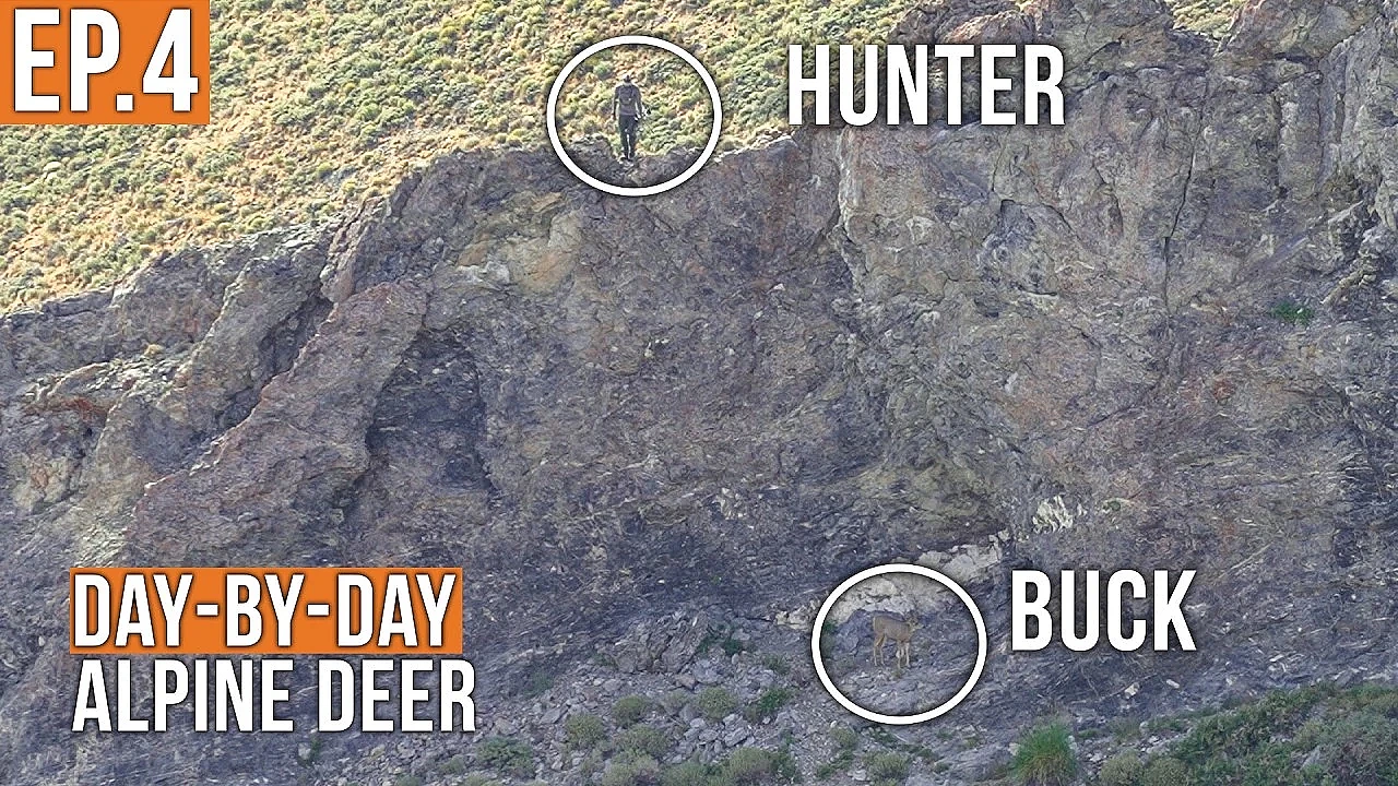 SO CLOSE | Alpine Deer (EP.4)