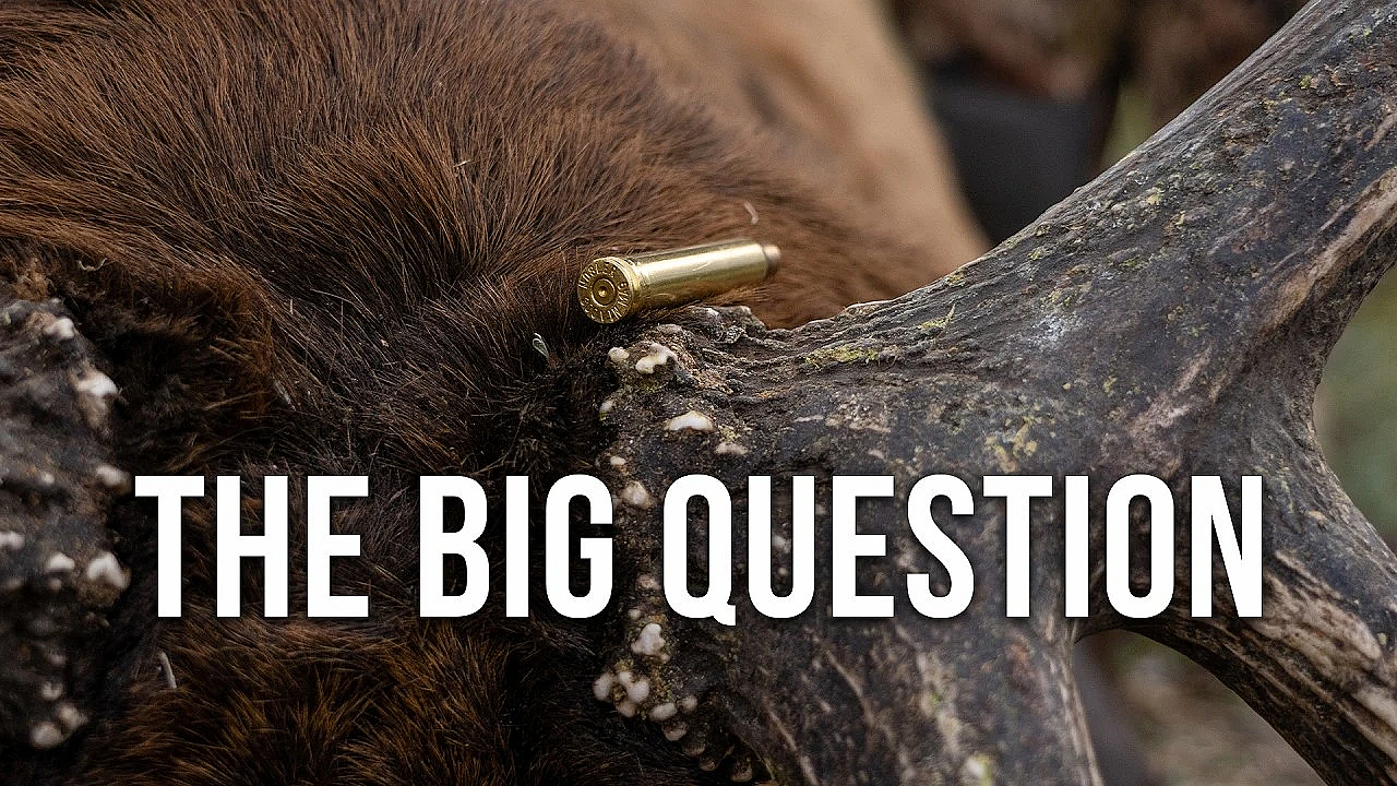 The Best Elk Hunting Cartridges - Randy Explains What Really Matters