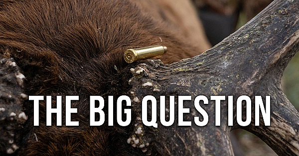 The Best Elk Hunting Cartridges - Randy Explains What Really Matters