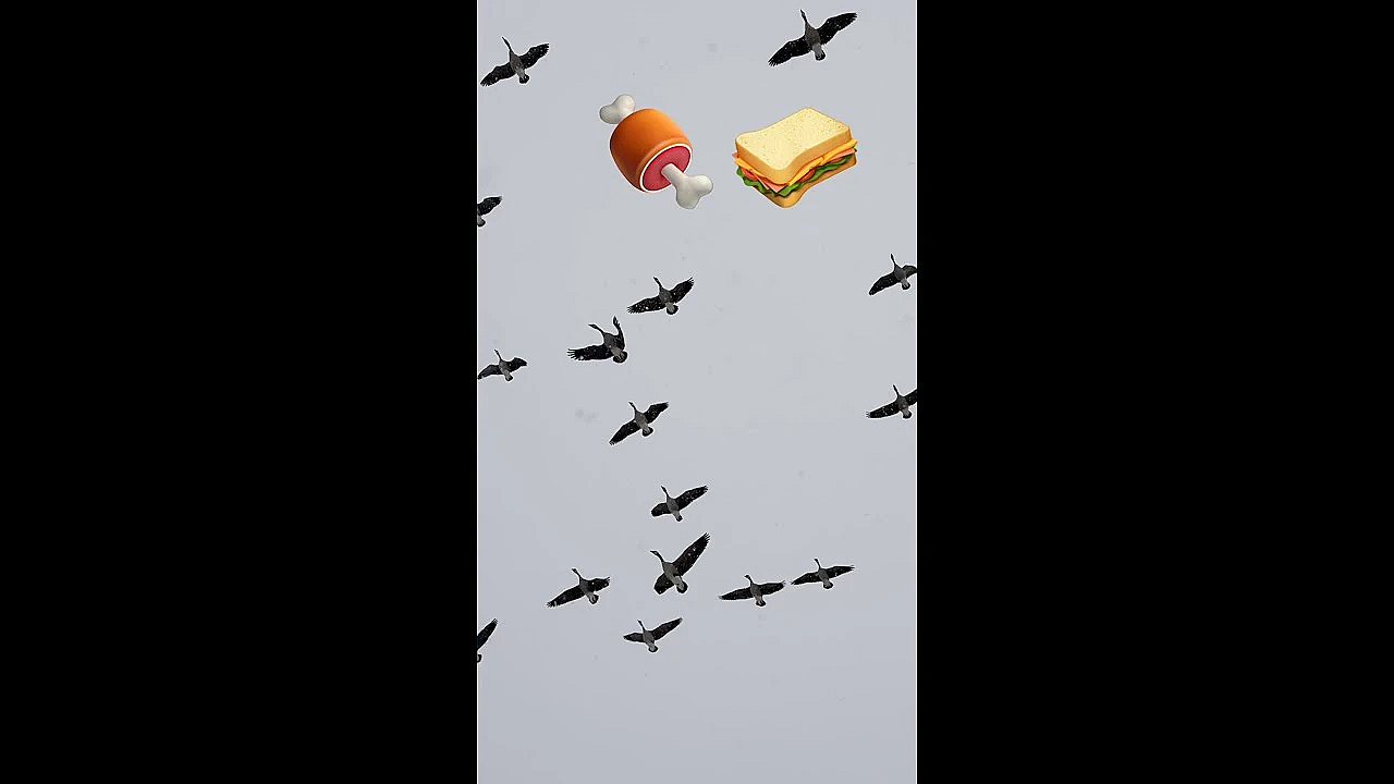 Canada Goose Lunch Meat! #shorts