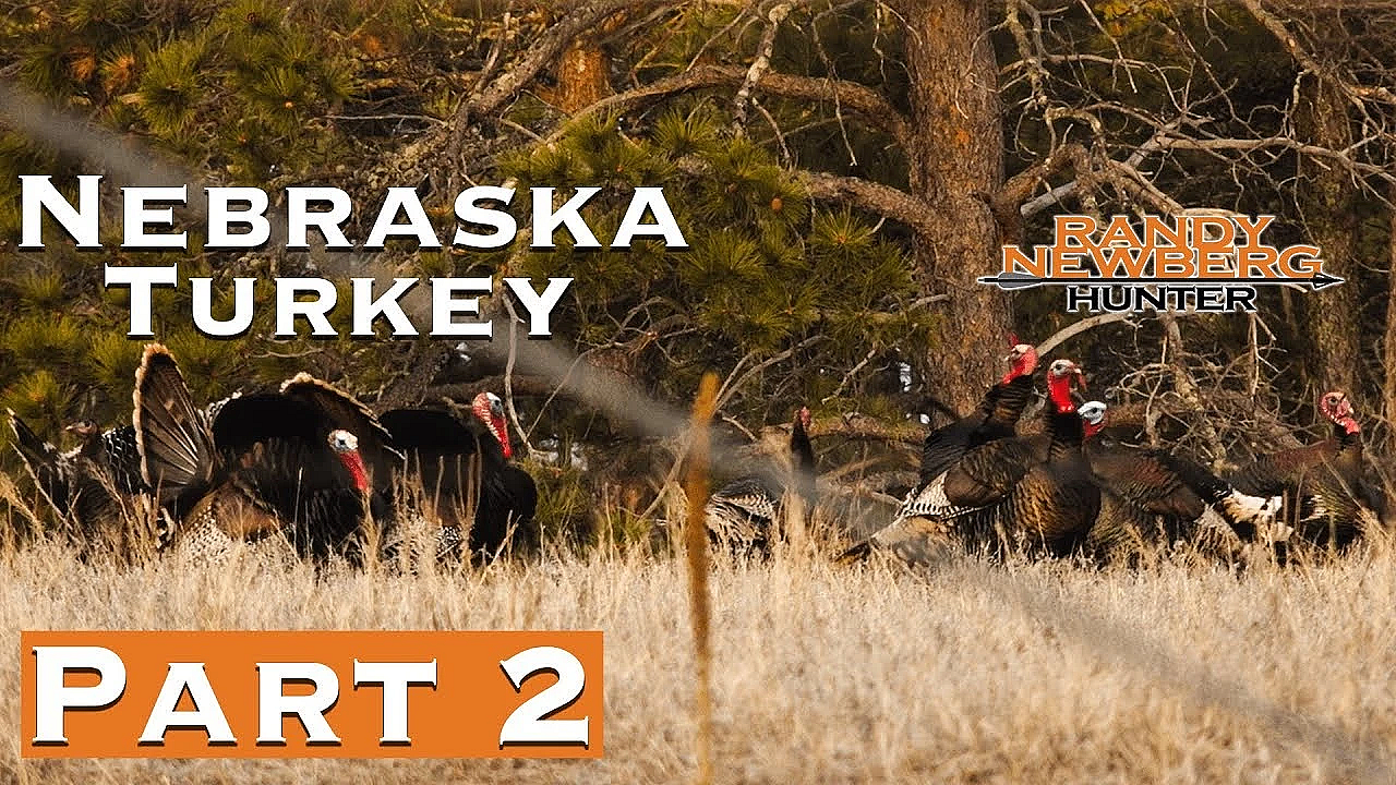 2019 Nebraska Archery Turkey (part 2)