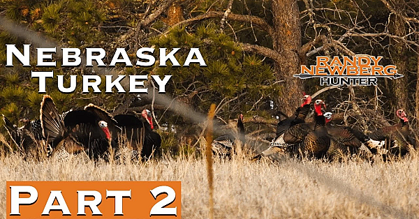 2019 Nebraska Archery Turkey (part 2)