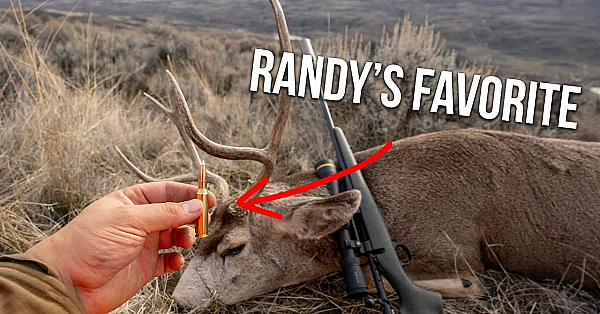 Randy Reacts To Your Favorite Deer Hunting Cartridges!