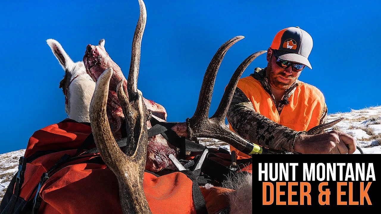 Montana Deer &amp; Elk Application Strategy 2022