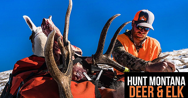 Montana Deer &amp; Elk Application Strategy 2022