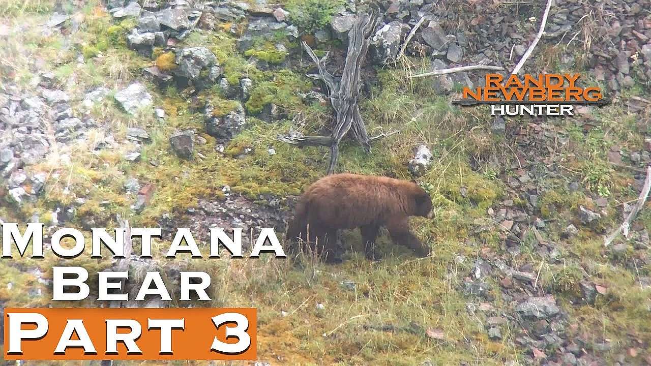 2019 Montana Spring Bear Season (part 3)