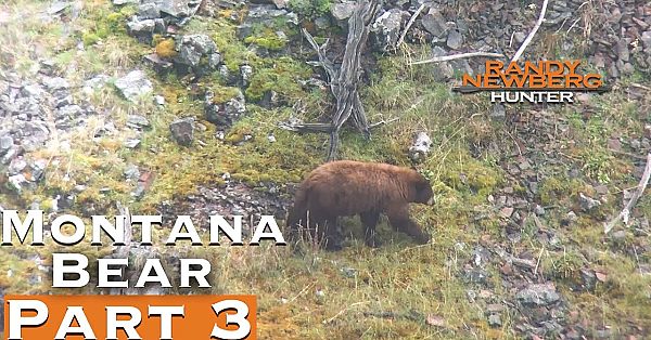 2019 Montana Spring Bear Season (part 3)