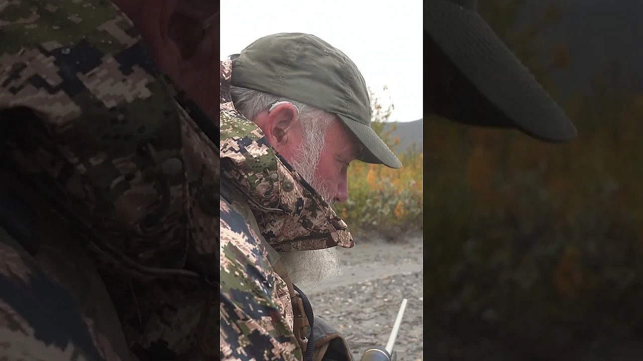 Alaska Bison! #bison #outdoors #hunting #freshtracks