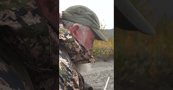 Alaska Bison! #bison #outdoors #hunting #freshtracks