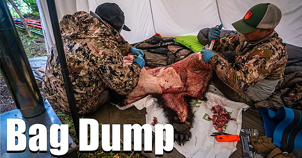 Bag Dump: What Gear To Bring For A Diy Alaska Bear Hunt