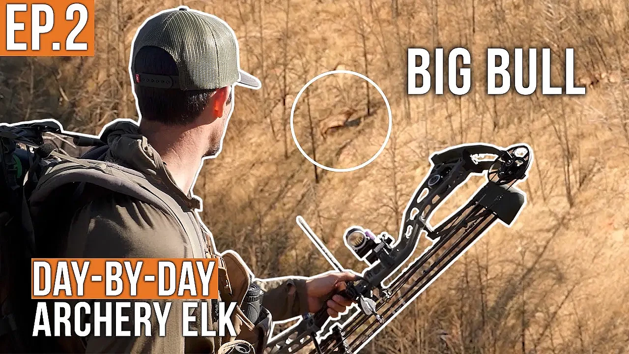 That's a STUD Bull | Archery Elk (EP.2)