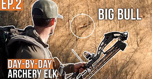 That's a STUD Bull | Archery Elk (EP.2)