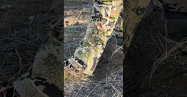 Bury Your Poop! Dig A Hole.