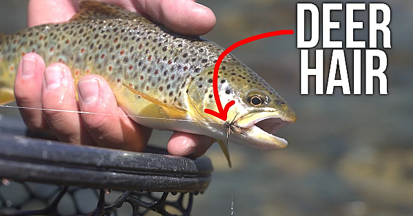 Using Deer Hair Flies To Catch Trout