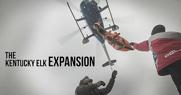 The Kentucky Elk Expansion - A Rmef Film